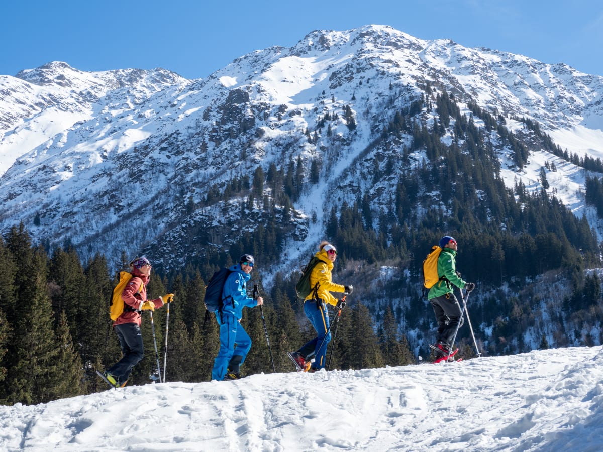 Sneskoture i Mont Blanc-landet