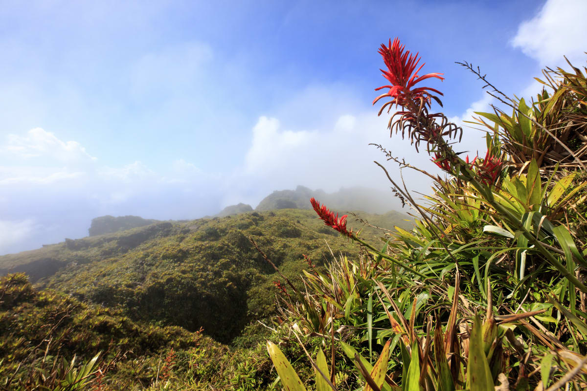 Rando découverte Martinique 8 jours