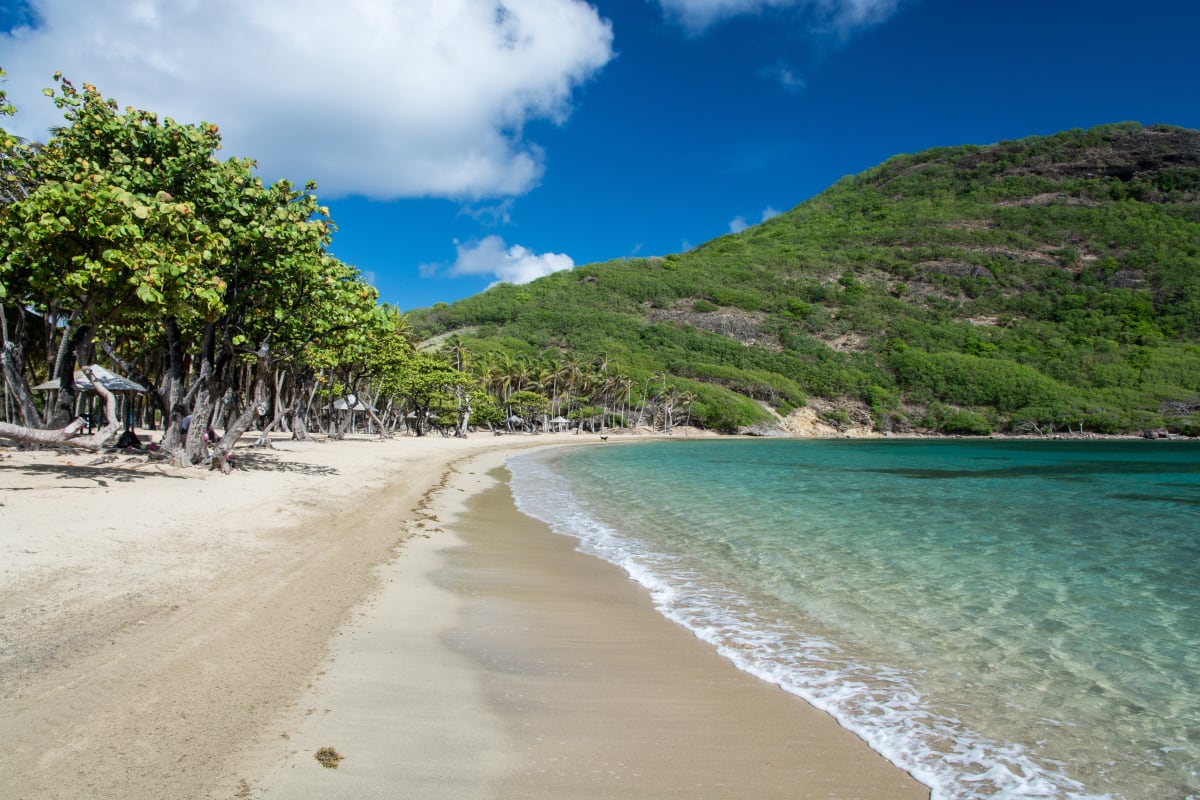 Pack bon plan les Saintes 7 jours