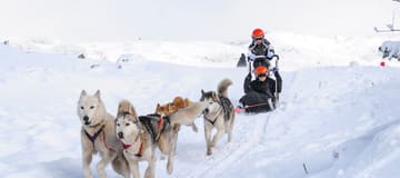 https://media.ucpa.com/image/upload/w_360,h_160,c_lfill,g_faces:auto/Telligo/00000924-T-chiens-traineau.jpg