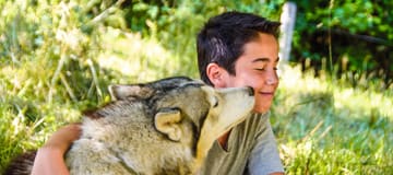 https://media.ucpa.com/image/upload/w_360,h_160,c_lfill,g_faces:auto/Telligo/00003113-T-entre-chiens-et-loups.jpg