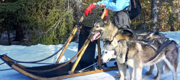https://media.ucpa.com/image/upload/w_360,h_160,c_lfill,g_faces:auto/Telligo/00004350-T-bellevaux-chiens-de-traineau.jpg