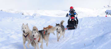 https://media.ucpa.com/image/upload/w_360,h_160,c_lfill,g_faces:auto/Telligo/00004824-T-trappeurs-et-mushers.jpg