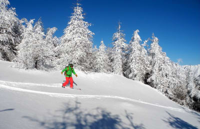 Off-piste Snowboard Ekspert / Splitboard