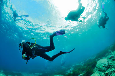 Dykkerudforskning Martinique 11 dage