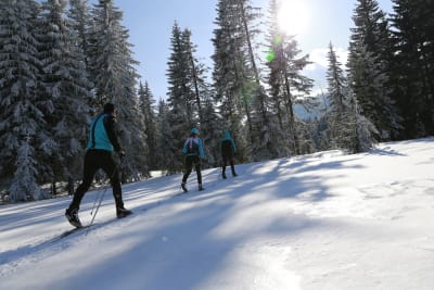 Initiation randonnée nordique en Haute Maurienne