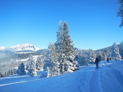 Nouvel An sur les Hauts Plateaux du Vercors