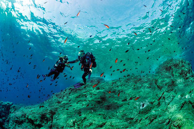 Plongée exploration aux Saintes 7 jours
