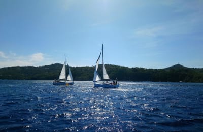 Målsætning sejlbåd niveau 3 - Navigation og kortlægning