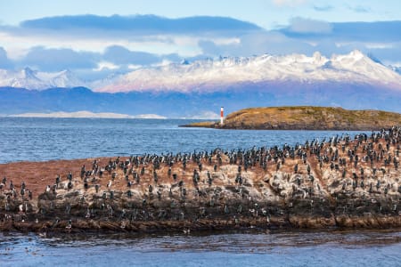 Bird Island, Ushuaïa, Argentine