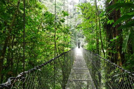 Costa Rica, pont suspendu, jungle
