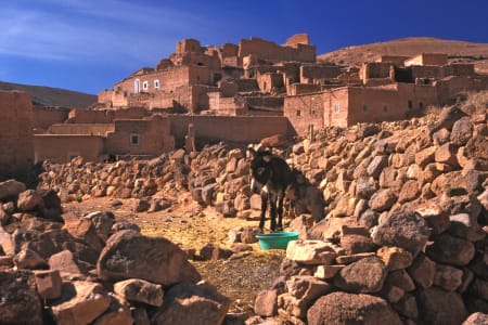 Djebel Sarho, Maroc
