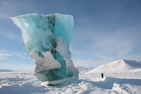 Gants grand froid 2en1 de trek - Arctic 900 -20°C - adulte pour