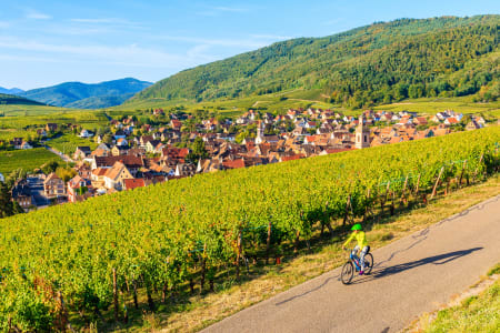 Cycliste, Riquewihr, Alsace, France