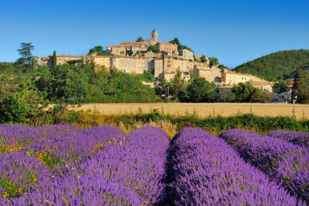 Lavande, Provence