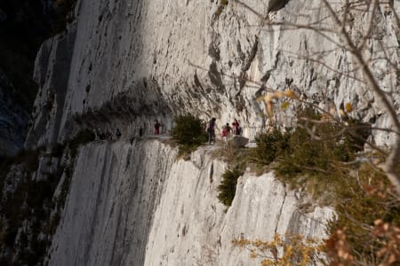 Chemin de la mature dans la vallée d'Aspe