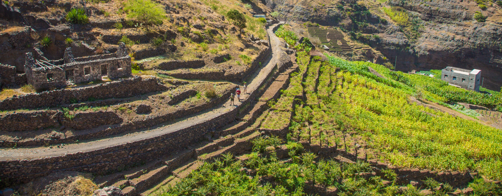 Paysage de terrasses agricoles en pierre de la vallée de Paul, Santo Antão, Cap Vert