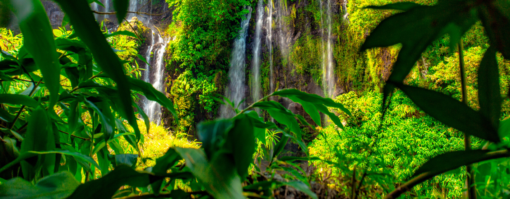 Cascade Grand Galet,Saint joseph, La réunion