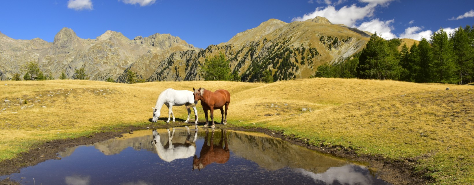 Mercantour, Alpes