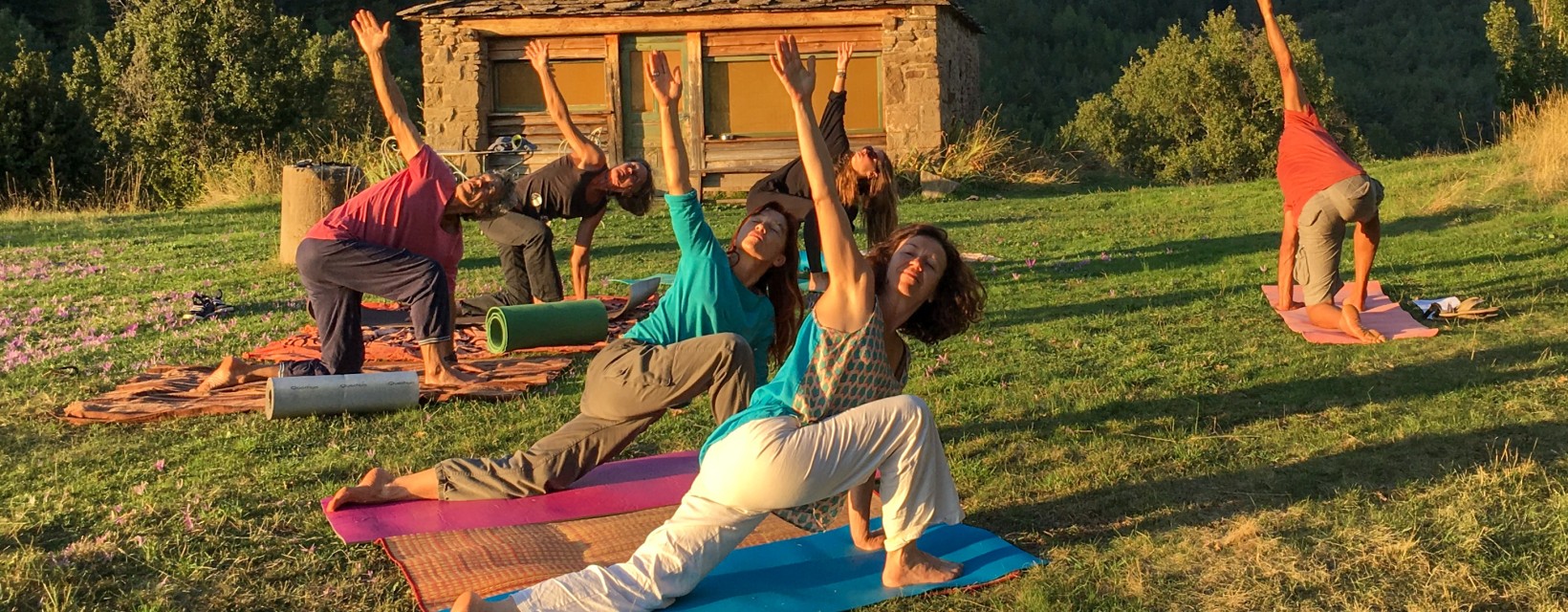 Cours de yoga en plein air