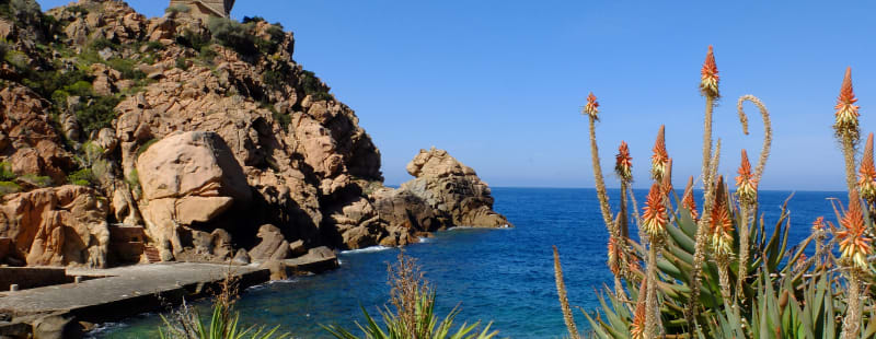 Voyage Corse : circuits, treks et randonnées