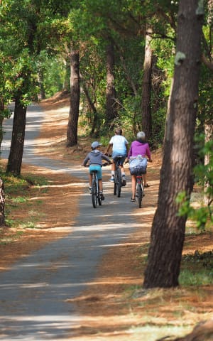 Bike Tour De Gironde Velo Cycling Guide Cycling Gironde Tour, From