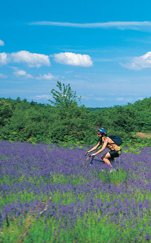 Luberon a velo Voyage a velo Provence