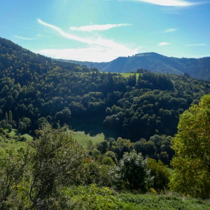 Saint-Didier d'Allier