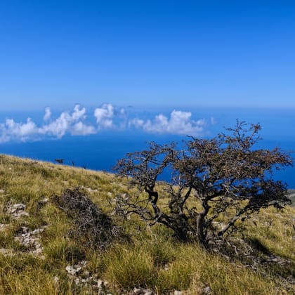 Parc National Llogara, Albanie