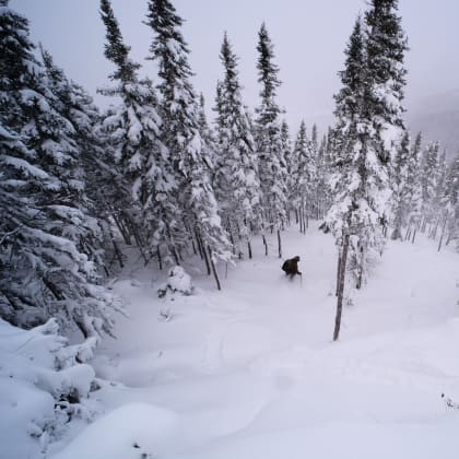 Neige, hiver, Québec, Canada