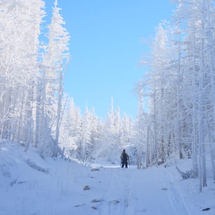 randonnée, neige, Québéc, Hiver, Canada