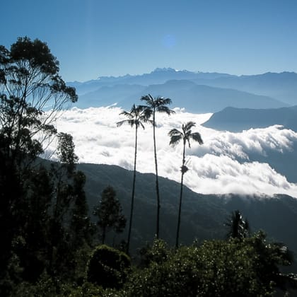 Sierra Nevada, Colombie