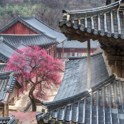 Corée du Sud, Hwaeomsa Temple