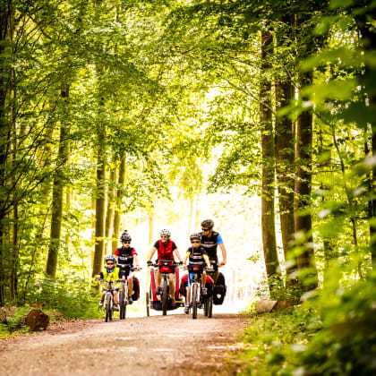 Famille, balade à vélo, île de Fionie, Danemark