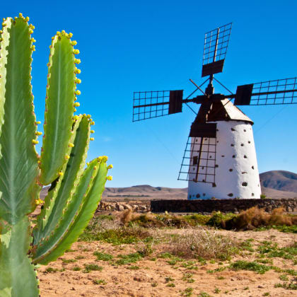 Moulins et cactus, Fuerteventura, Canaries
