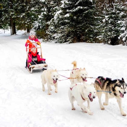 Des chiens huskies tirent un traîneau avec deux jeunes filles dans une forêt en hiver
