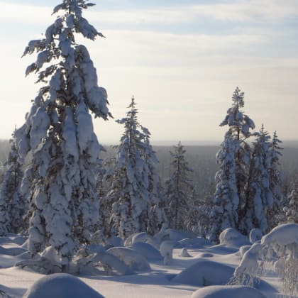 Paysage enneigé en Finlande
