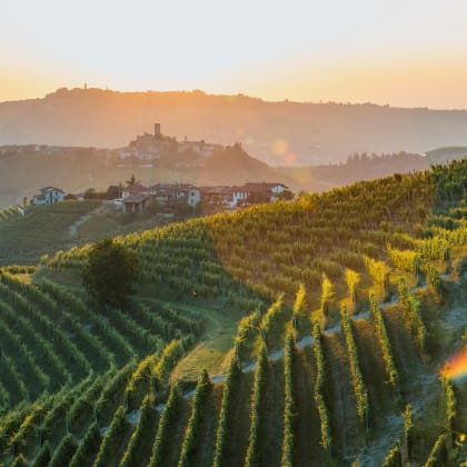 Barolo wine region, Langhe, Piedemont, Italy