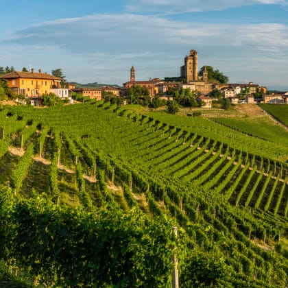 The beautiful village of Serralunga d'Alba and its vineyards in the Langhe region of Piedmont, Italy.