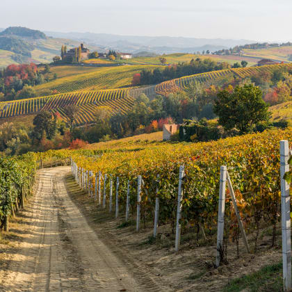Beautiful autumnal landscape with the Castello della Volta, in the langhe region of Piedmont, Italy.