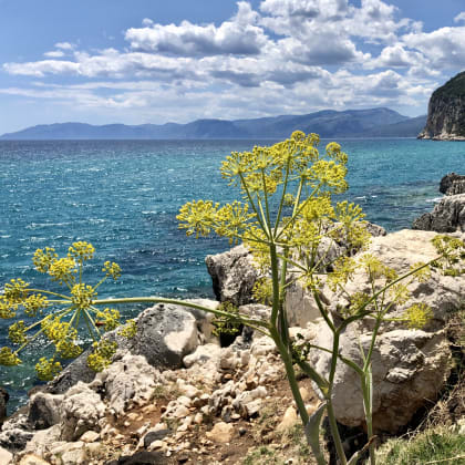 Monte Irveri ; Italie, Sardaigne