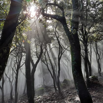 Monte Corrasi, Italie, Sardaigne