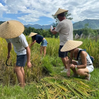 Agriculture, Laos