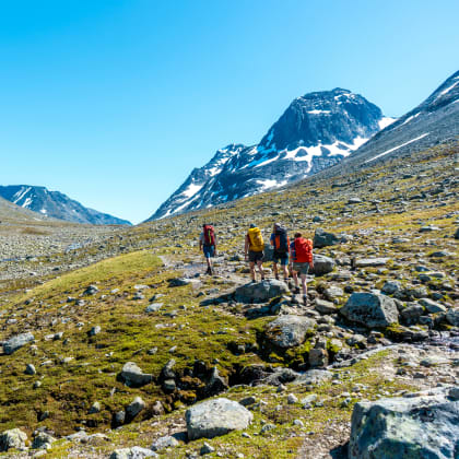 Vallée de Svartdalen, Jotunheimen, Norvège