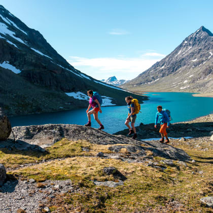 Vallée de Svartdalen, Jotunheimen, Norvège