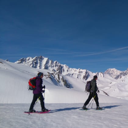 Alpes Suisse