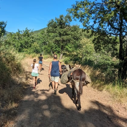 Randonnée dans les Cévennes avec un âne