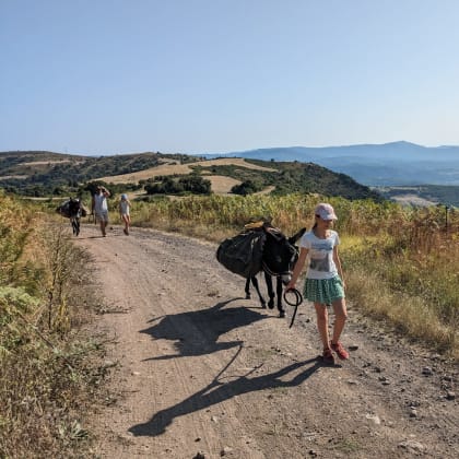 Randonnée dans les Cévennes avec un âne