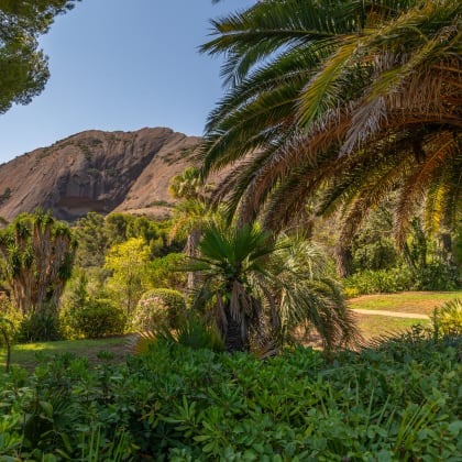 Massif du Bec de l’Aigle et végétation exotique au Parc du Mugel, La Ciotat
