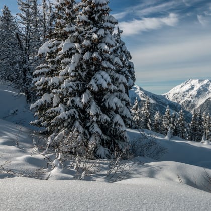 Paysage du Beaufortain sous la neige , en Savoie , en hiver , Alpes , France